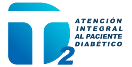 logo dt2 1
