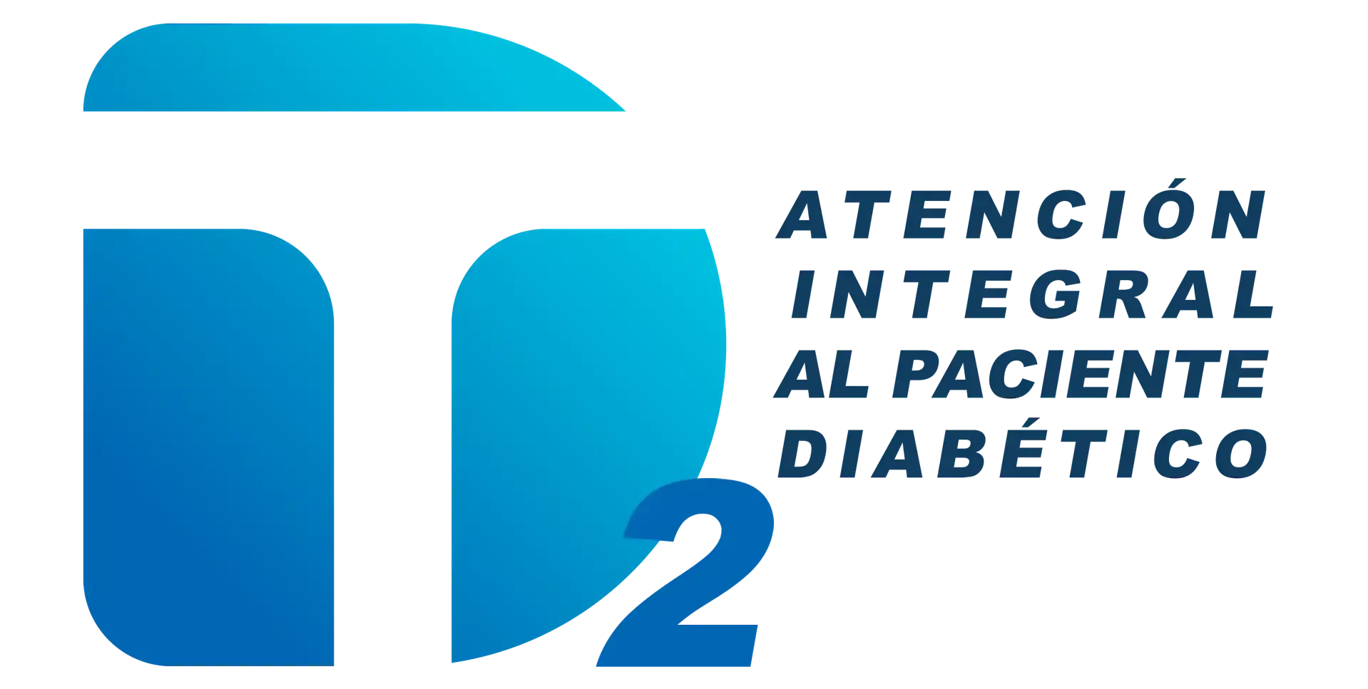 logo dt2 1